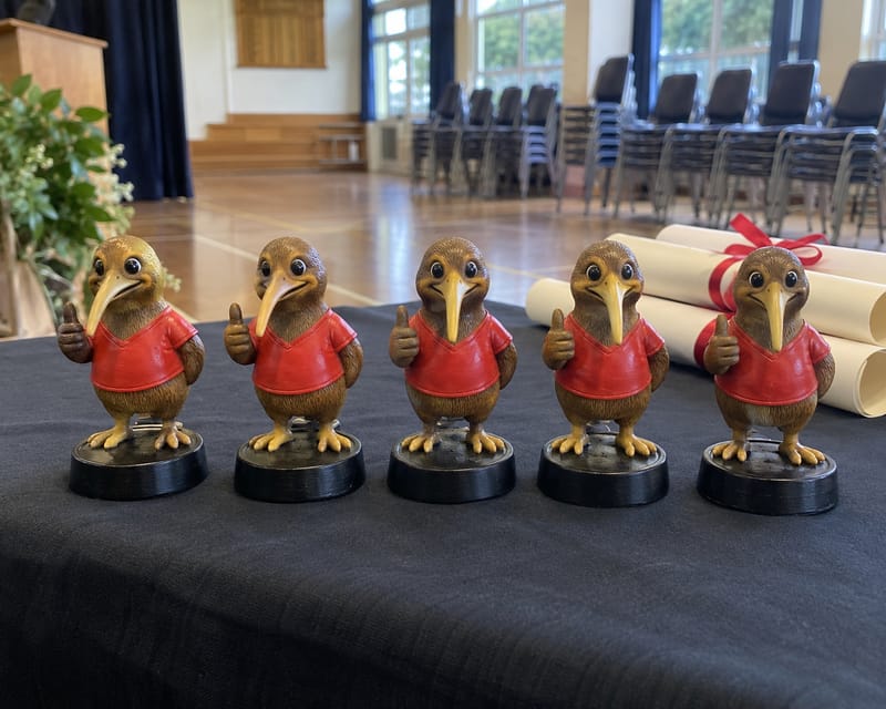 Five hand-painted kiwi mascot trophy figurines lined up for a school prizegiving