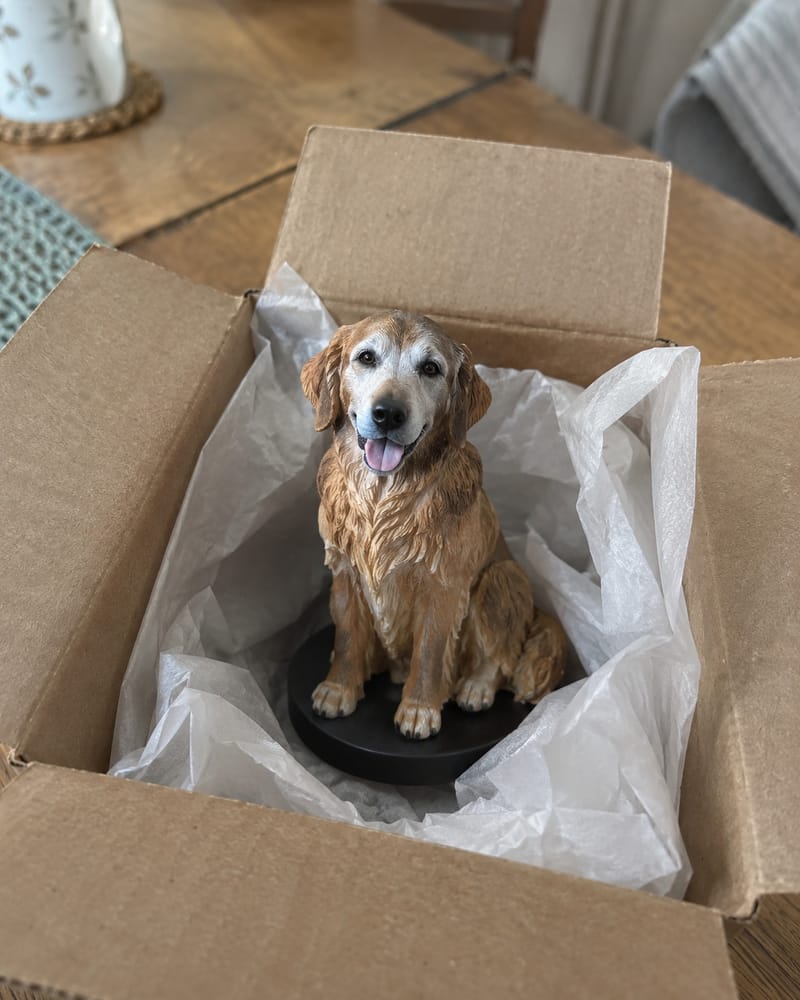 The finished hand-painted golden retriever figurine in a small gift box